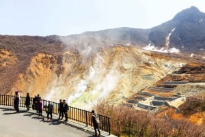 Tokio: Mt Fuji, Hakone, rejs, kolejka linowa i Oshino Hakkai Tour