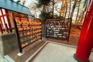 Tokio: Fuji-vuori ja Hakone -päiväretki englanninkielisen kuljettajan kanssa