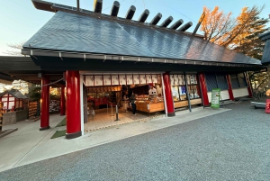 Tokio: Fuji-vuori ja Hakone -päiväretki englanninkielisen kuljettajan kanssa