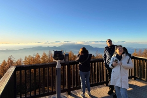 Tokio: Fuji-vuori ja Hakone -päiväretki englanninkielisen kuljettajan kanssa