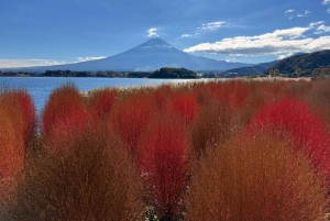 Tokio: Fuji-vuori ja Hakone -päiväretki englanninkielisen kuljettajan kanssa
