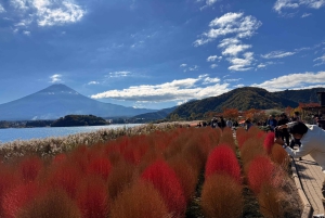 Tokio: Fuji-vuori ja Hakone -päiväretki englanninkielisen kuljettajan kanssa