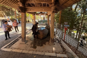 Tokio: Fuji-vuori ja Hakone -päiväretki englanninkielisen kuljettajan kanssa