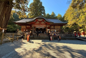 Tokio: Fuji-vuori ja Hakone -päiväretki englanninkielisen kuljettajan kanssa