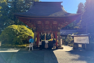 Tokio: Fuji-vuori ja Hakone -päiväretki englanninkielisen kuljettajan kanssa