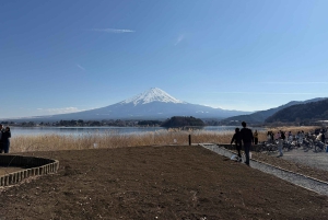 Tokio: Fuji-vuori ja Hakone -päiväretki englanninkielisen kuljettajan kanssa