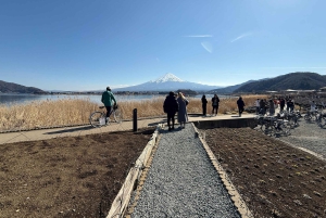 Tokio: Fuji-vuori ja Hakone -päiväretki englanninkielisen kuljettajan kanssa