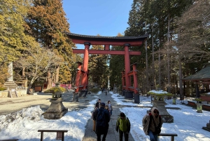 Tokio: Fuji-vuori ja Hakone -päiväretki englanninkielisen kuljettajan kanssa