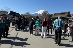 Tokio: Fuji-vuori ja Hakone -päiväretki englanninkielisen kuljettajan kanssa