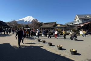 Tokio: Fuji-vuori ja Hakone -päiväretki englanninkielisen kuljettajan kanssa