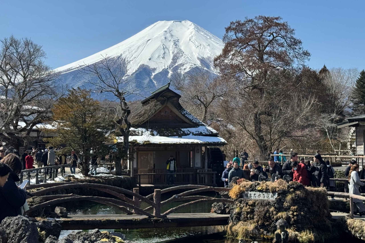 Tokyo: Mt. Fuji & Hakone Day Trip Customizable Itinerary