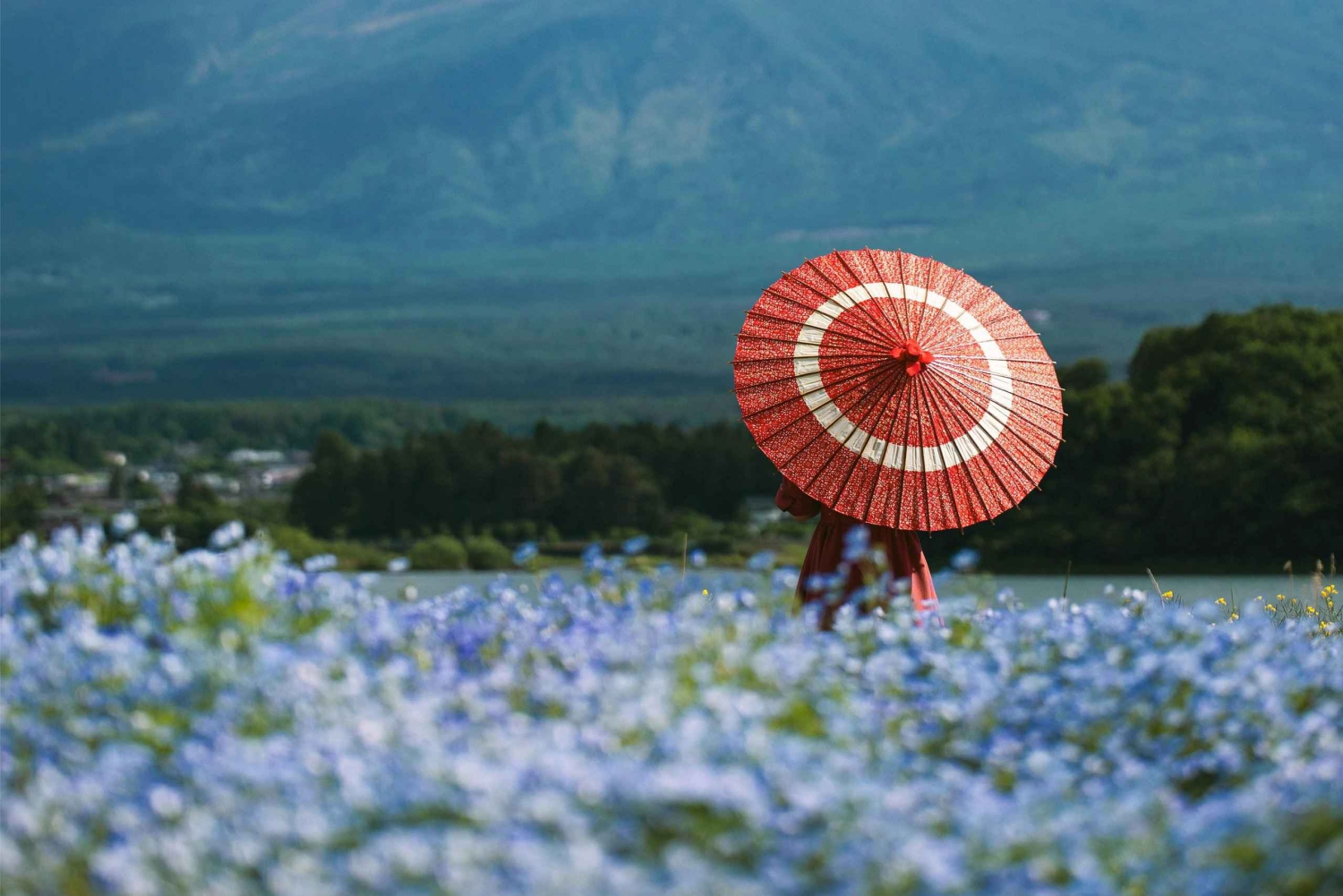 Tokyo: Mt. Fuji & Hakone Day Trip Customizable Itinerary