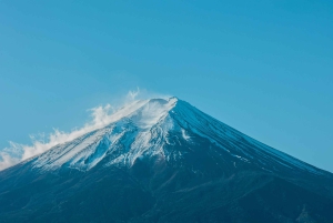 Tokyo: Mt. Fuji & Hakone Day Trip Customizable Itinerary