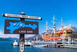 Tokyo: Mt. Fuji & Hakone Day Trip with Cable Car & Cruise