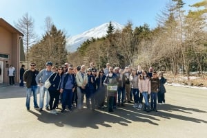 Tokyo: Mt. Fuji, Hakone, Lake Ashi Cruise and Bullet Train