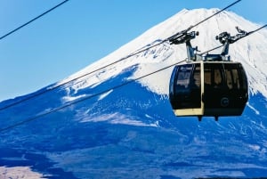 Tokyo: Mt. Fuji, Hakone, Lake Ashi Cruise and Bullet Train