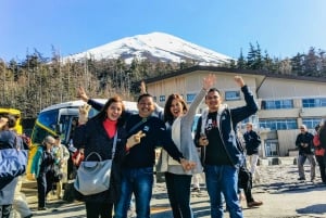 Tokyo: Mt. Fuji, Hakone, Lake Ashi Cruise and Bullet Train