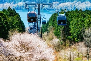 Tokyo: Mt. Fuji, Hakone, Lake Ashi Cruise and Bullet Train