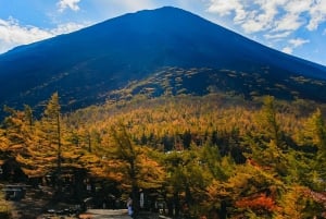 Tokyo: Mt. Fuji, Hakone, Lake Ashi Cruise and Bullet Train