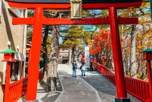 Tokyo: Mt. Fuji, Hakone, Lake Ashi Cruise and Bullet Train