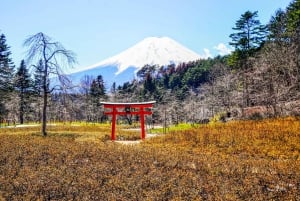 Tokyo: Mt. Fuji, Hakone, Lake Ashi Cruise and Bullet Train