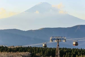 Tokyo: Mt. Fuji, Hakone, Lake Ashi Cruise and Bullet Train