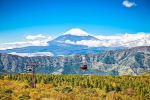 Tokyo: Mt. Fuji, Hakone, Lake Ashi Cruise and Bullet Train