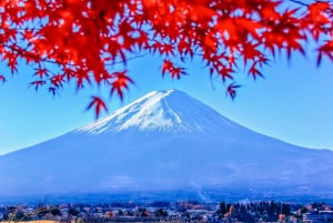 Tokyo: Mt. Fuji, Hakone, Lake Ashi Cruise and Bullet Train