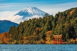 Tokyo : visite privée personnalisable d'une journée du mont Fuji et de Hakone