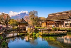Tokyo : visite privée personnalisable d'une journée du mont Fuji et de Hakone