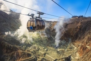 Tokyo : visite privée personnalisable d'une journée du mont Fuji et de Hakone