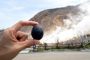 Tokyo : Mont Fuji, Hakone et musée en plein air ou Oshino Hakkai