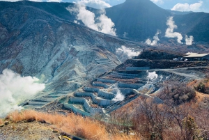 Tokyo : Mont Fuji, Hakone et musée en plein air ou Oshino Hakkai