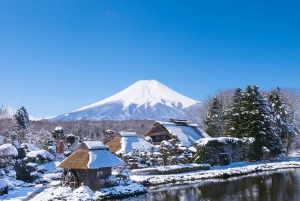 Tokyo : Mont Fuji, Hakone et musée en plein air ou Oshino Hakkai