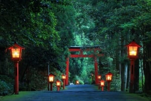 Tokyo : Mont Fuji, Hakone et musée en plein air ou Oshino Hakkai