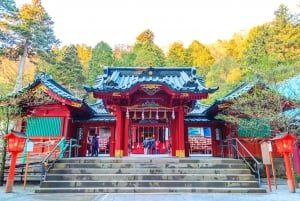 Tokyo : Mont Fuji, Hakone et musée en plein air ou Oshino Hakkai