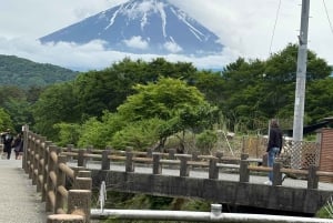 Tokio: prywatna wycieczka na górę Fuji i do Hakone z angielskojęzycznym kierowcą