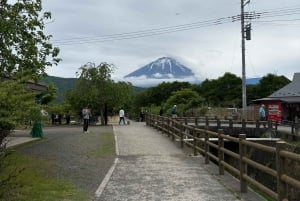 Tokio: prywatna wycieczka na górę Fuji i do Hakone z angielskojęzycznym kierowcą