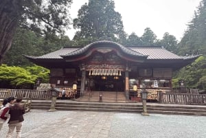 Tokio: prywatna wycieczka na górę Fuji i do Hakone z angielskojęzycznym kierowcą