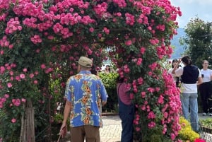 Tokio: prywatna wycieczka na górę Fuji i do Hakone z angielskojęzycznym kierowcą