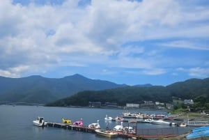 Tokio: prywatna wycieczka na górę Fuji i do Hakone z angielskojęzycznym kierowcą