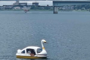 Tokio: prywatna wycieczka na górę Fuji i do Hakone z angielskojęzycznym kierowcą