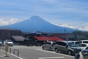 Tokio: prywatna wycieczka na górę Fuji i do Hakone z angielskojęzycznym kierowcą