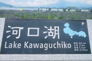 Tokio: prywatna wycieczka na górę Fuji i do Hakone z angielskojęzycznym kierowcą