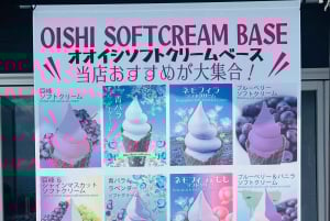 Tokio: prywatna wycieczka na górę Fuji i do Hakone z angielskojęzycznym kierowcą