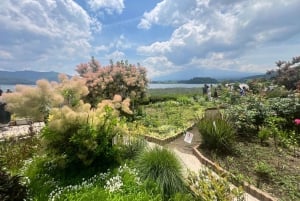 Tokio: prywatna wycieczka na górę Fuji i do Hakone z angielskojęzycznym kierowcą