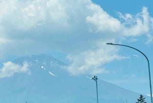 Tokio: prywatna wycieczka na górę Fuji i do Hakone z angielskojęzycznym kierowcą