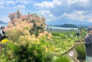 Tokio: prywatna wycieczka na górę Fuji i do Hakone z angielskojęzycznym kierowcą