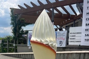 Tokio: prywatna wycieczka na górę Fuji i do Hakone z angielskojęzycznym kierowcą