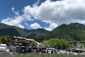 Tokio: prywatna wycieczka na górę Fuji i do Hakone z angielskojęzycznym kierowcą